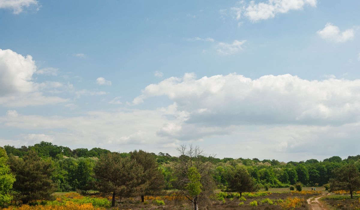 Choosing waterproof boots for muddy heathland walks