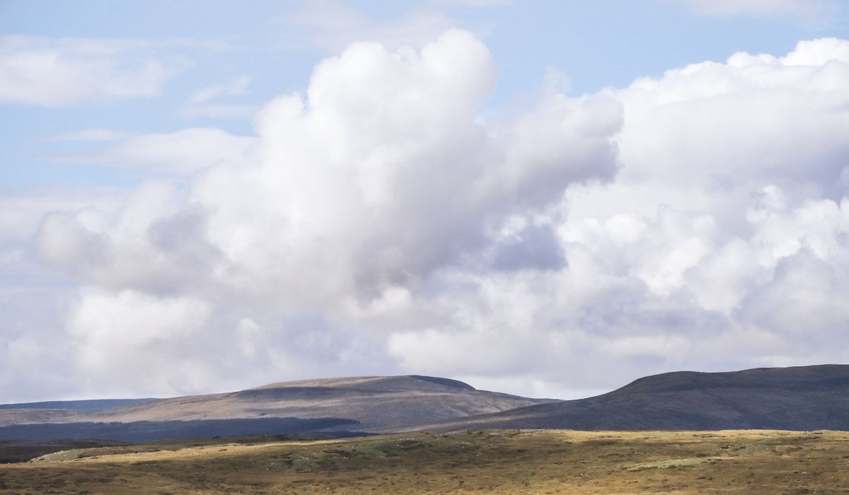 Photography tips for capturing misty heathland mornings