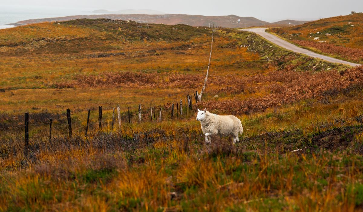 Understanding access rights on open countryside paths